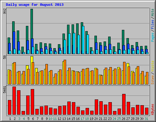 Daily usage for August 2013