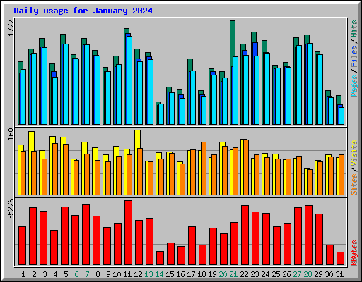 Daily usage for January 2024