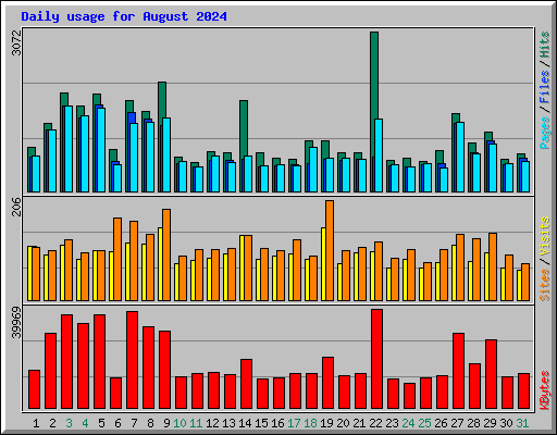 Daily usage for August 2024
