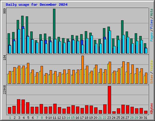 Daily usage for December 2024