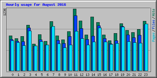 Hourly usage for August 2016