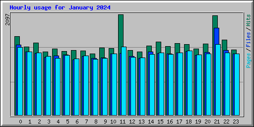 Hourly usage for January 2024