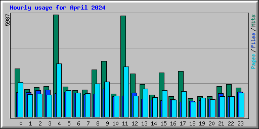 Hourly usage for April 2024