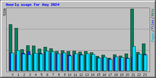 Hourly usage for May 2024