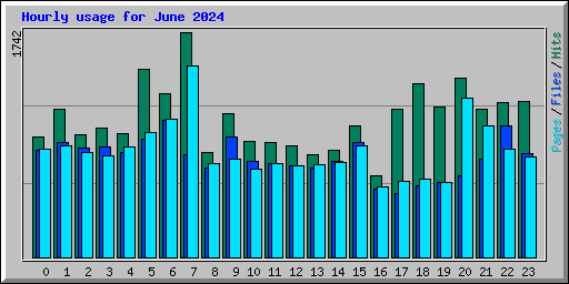 Hourly usage for June 2024