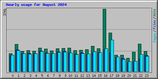 Hourly usage for August 2024