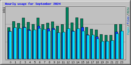 Hourly usage for September 2024