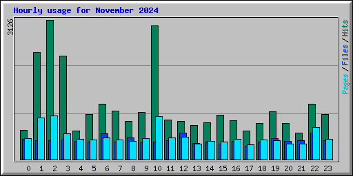 Hourly usage for November 2024