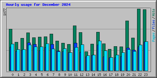 Hourly usage for December 2024