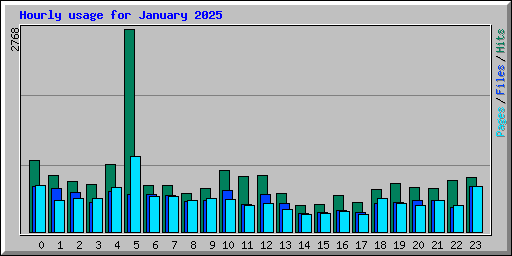 Hourly usage for January 2025