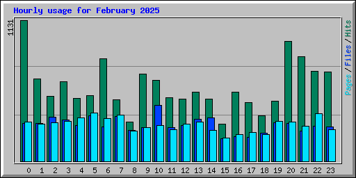 Hourly usage for February 2025