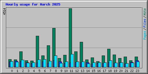 Hourly usage for March 2025