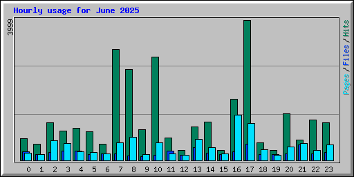 Hourly usage for June 2025