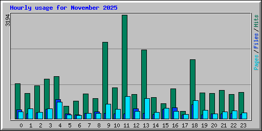 Hourly usage for November 2025