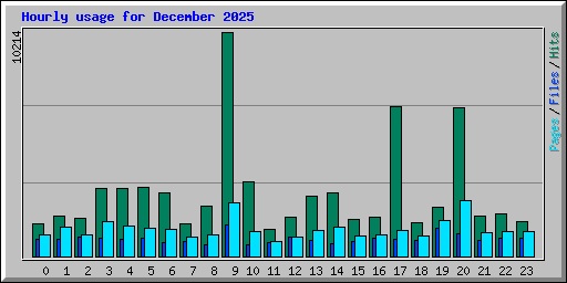 Hourly usage for December 2025