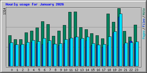 Hourly usage for January 2026