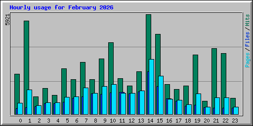 Hourly usage for February 2026